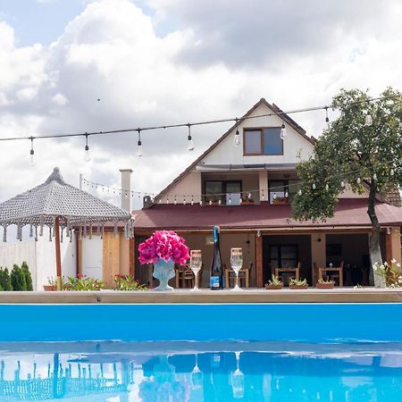 Hotel Vila Crisalia Sibiel -Sibiu Esterno foto