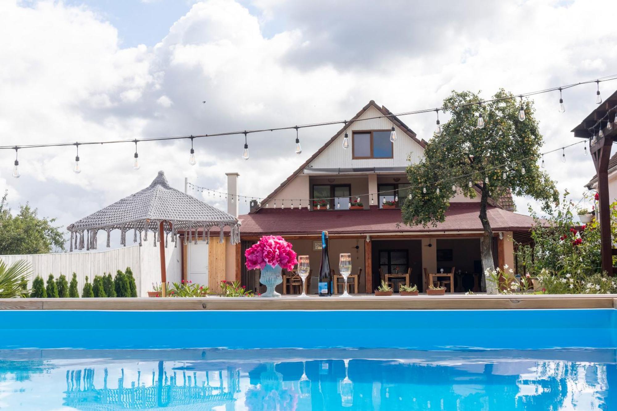 Hotel Vila Crisalia Sibiel -Sibiu Esterno foto